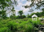 sewa-tanah-strategis